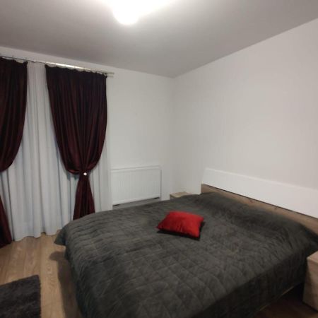 Casa Ioana Apartment Targu Mures Luaran gambar