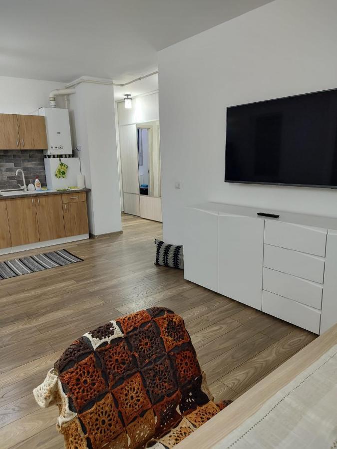 Casa Ioana Apartment Targu Mures Luaran gambar