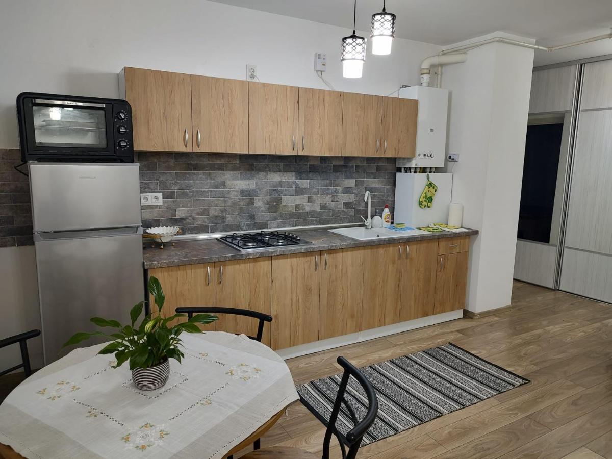 Casa Ioana Apartment Targu Mures Luaran gambar