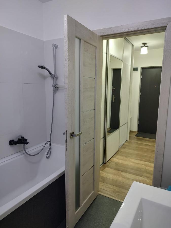 Casa Ioana Apartment Targu Mures Luaran gambar