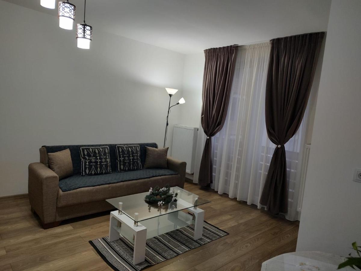 Casa Ioana Apartment Targu Mures Luaran gambar
