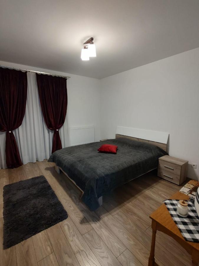 Casa Ioana Apartment Targu Mures Luaran gambar