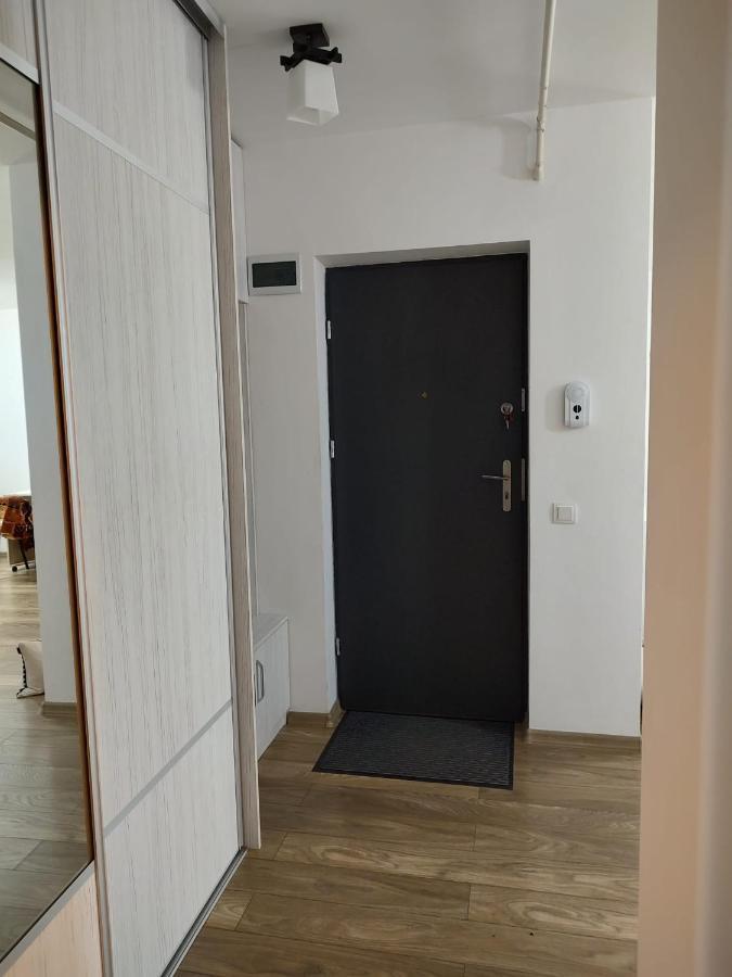 Casa Ioana Apartment Targu Mures Luaran gambar