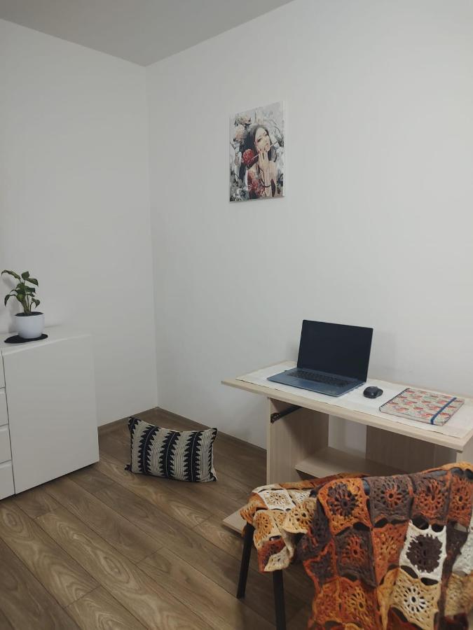 Casa Ioana Apartment Targu Mures Luaran gambar