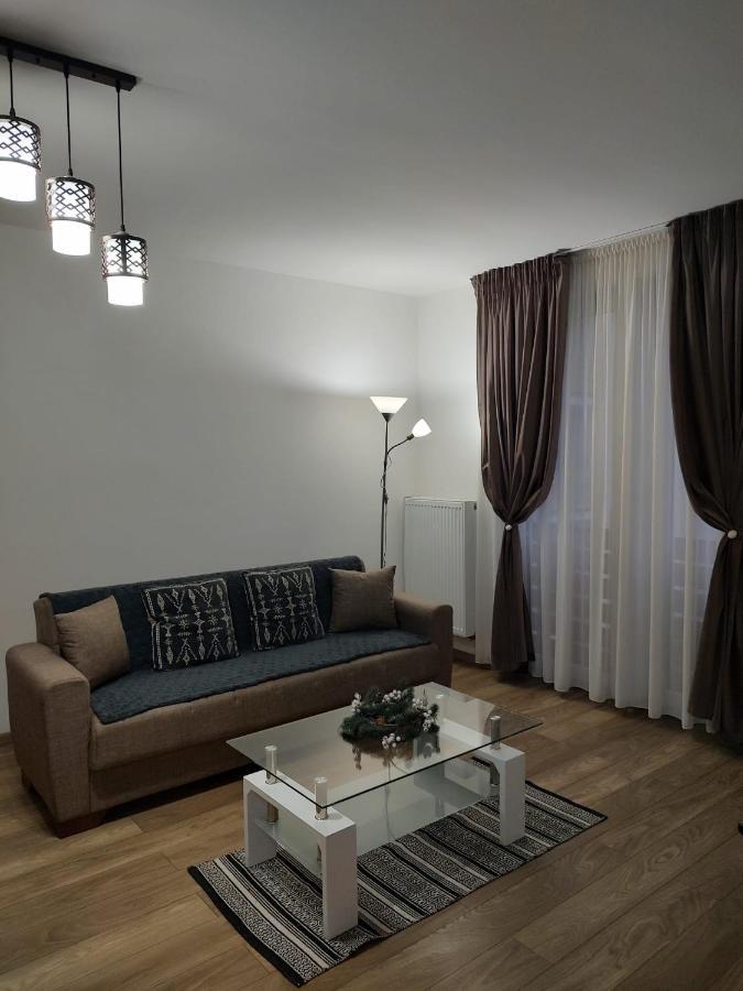 Casa Ioana Apartment Targu Mures Luaran gambar
